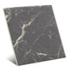 Hermitage Dark 20x20 Cm (Caja 1 M2)