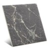 Hermitage Dark 20x20 Cm (Caja 1 M2)