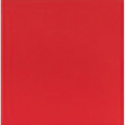 Color Rojo Brillo 20x20cm