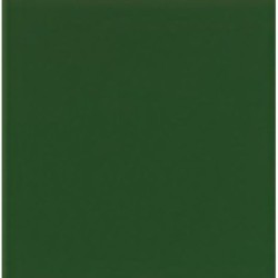 Color Verde Brillo 20x20cm