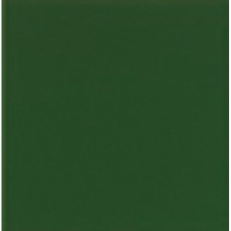 Color Verde Brillo 20x20cm
